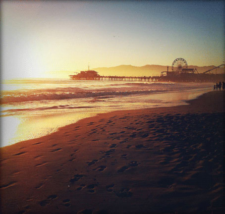 <em>Amy Yu: Santa Monica Pier</em>, California