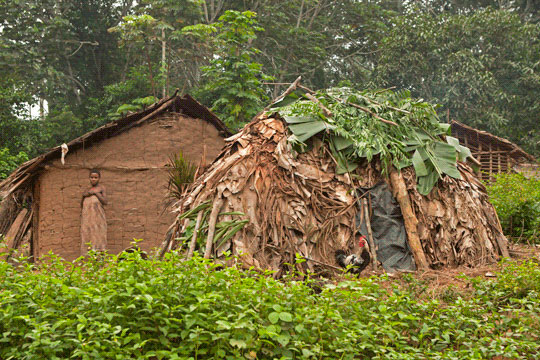 <em>Judi Baker: Baka-Pygmy Times Have Changed</em>, Cameroon