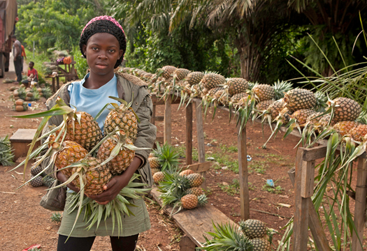 <em>Judi Baker: Girl with Pineapples</em>, Cameroon