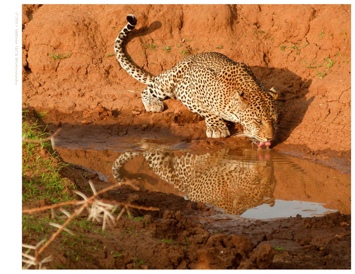 <em>Henry Miner: Drink</em>, Samburu