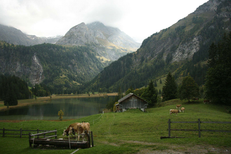 <em>Carol Budd: Lounansee</em>, Switzerland