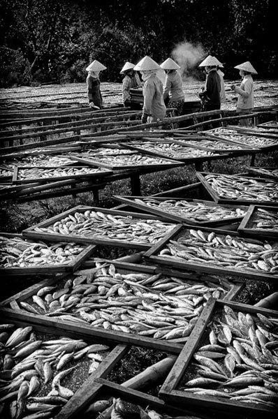 <em>Adam Miles: Fishmongers</em>, Vietnam