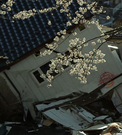 421 Hope Springs Eternal in Japan