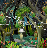 Clogs_reviews