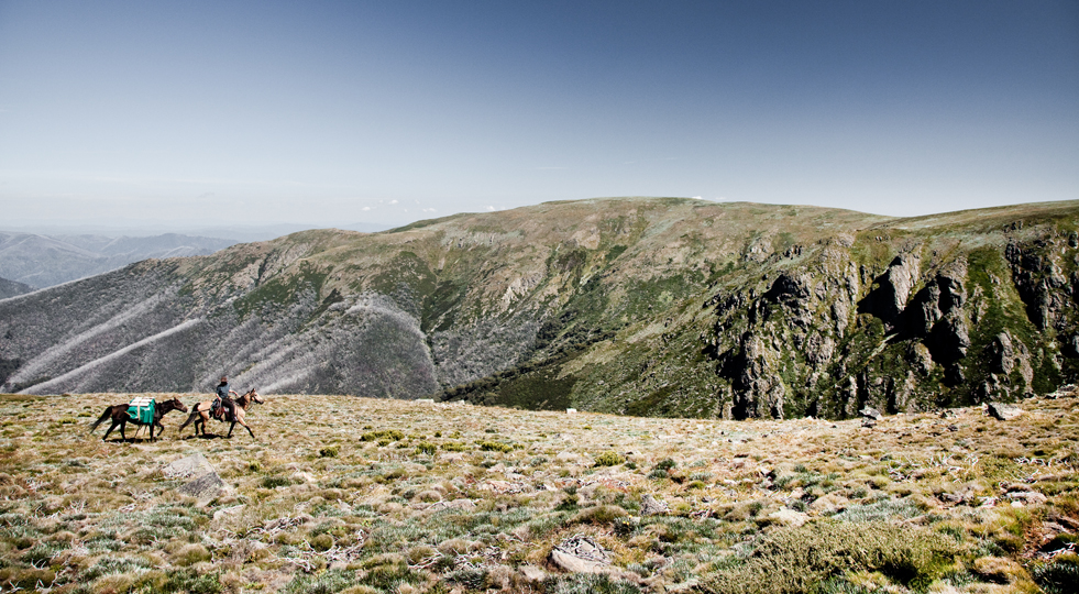 <em>Australian High Country Stockman</em>, Cameron Cope