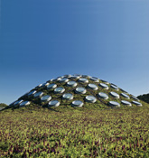 GREEN-ROOF