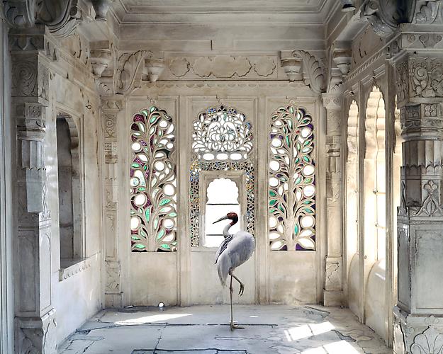 A PLACE LIKE AMRAVATI. UDAIPUR CITY PALACE.
