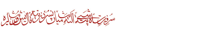 ali23 khadim ali