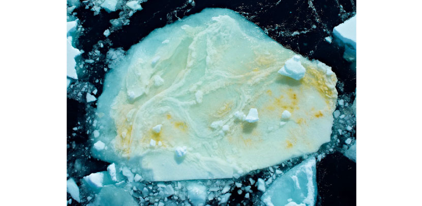 antarctica page7 Antarctica