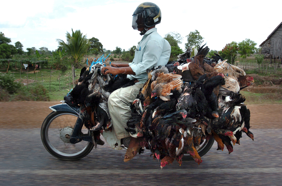 <em>Market Day, Cambodia</em>, Peppe Arninge 