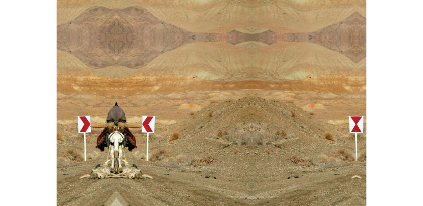 Ramin Haerizadeh, from the Wonders of the Creatures series, 2007, Private Collection, Switzerland
