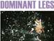 dominantlegs_recent
