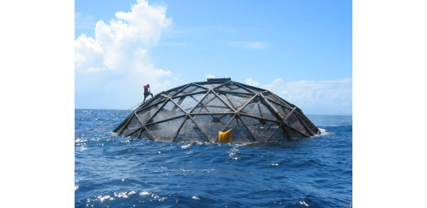 Open Blue Sea Farms by Brian O’Hanlon, 2009 The Earth Awards finalist