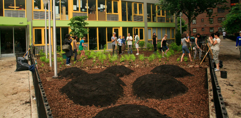 Edible Estate #8 - Lenape Edible Estate: Manhattan 2009, produced and presented by New York Restoration Project in partnership with Friends of the Highline. Photo by Fritz Haeg.