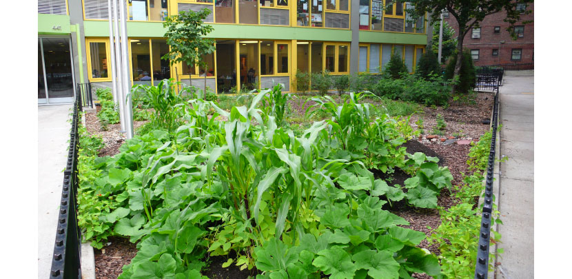 Edible Estate #8 - Lenape Edible Estate: Manhattan 2009, produced and presented by New York Restoration Project in partnership with Friends of the Highline. Photo by Fritz Haeg.