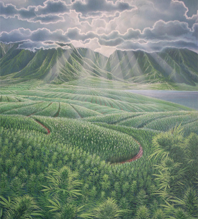 farartcover Hemp Fields, Richard Fields. 1995. Photography courtesy of Puka Puka. (Click images to enlarge)