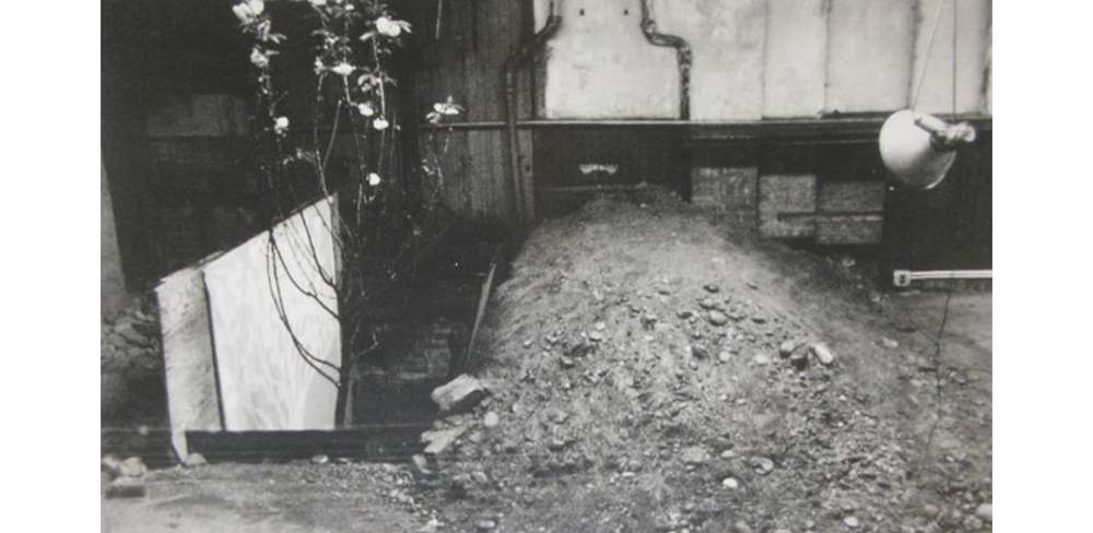 CHERRY TREE Cherry Tree , 1971 Gordon Matta-Clark courtesy of the Estate of Gordon Matta-Clark and David Zwirner Gallery (Click to enlarge)