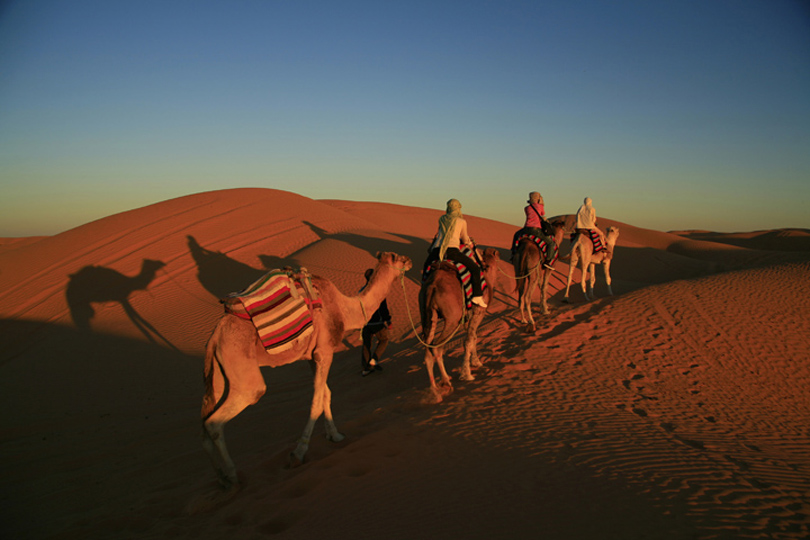 <em>Sunset Camel Safari - Tunisia</em>, Jeremy Jowell