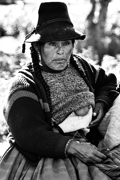 <em>Cusco</em>, Jase King