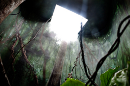 kukla_captive2