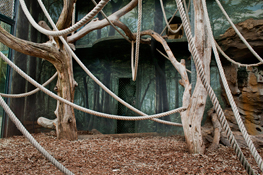 kukla_captive5