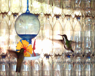 La Casa De Botellas photo lacasa cover La Casa De Botellas