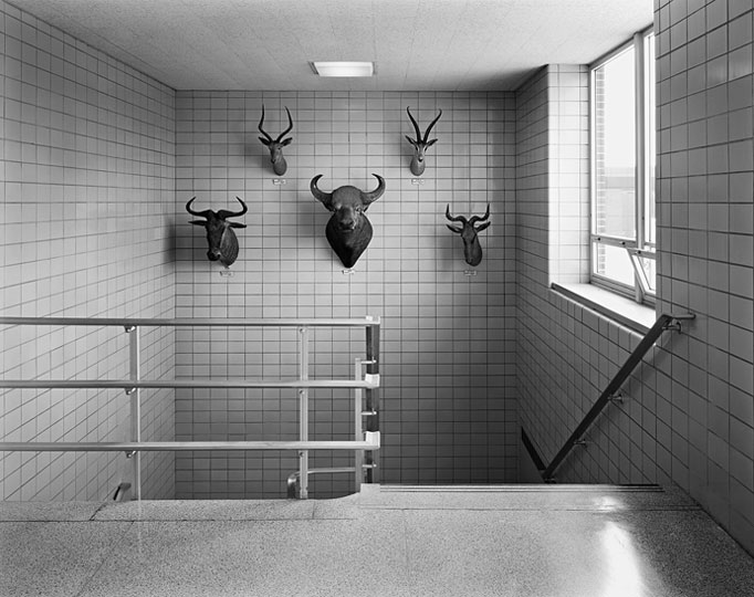 Lynne Cohen, <em>Stairwell</em>