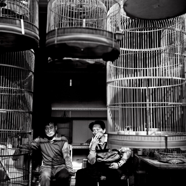 <em>Animal Market, Shanghai</em>, Leah Nash