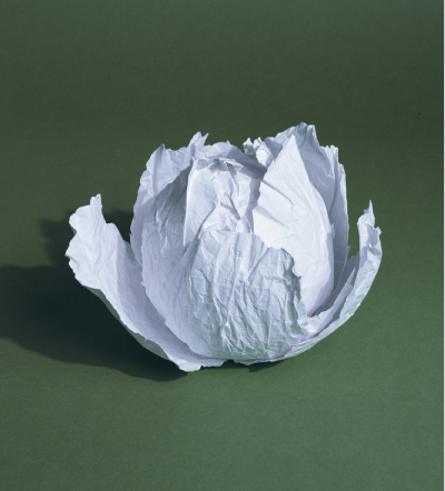 si_1 Salad Lie (Die Salatlüge), 2006 for SZ Wissen Magazine