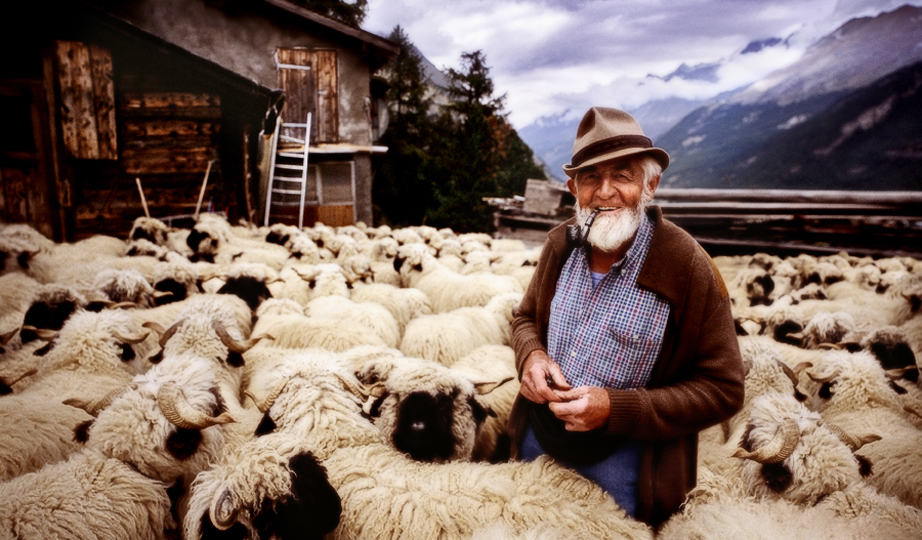 <em>Switzerland Shepherd </em>, George Simhoni