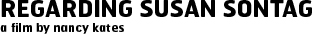 sontag_header sontag header Regarding Susan Sontag