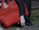 subversivegardner_recent