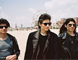 wolfpack_thm