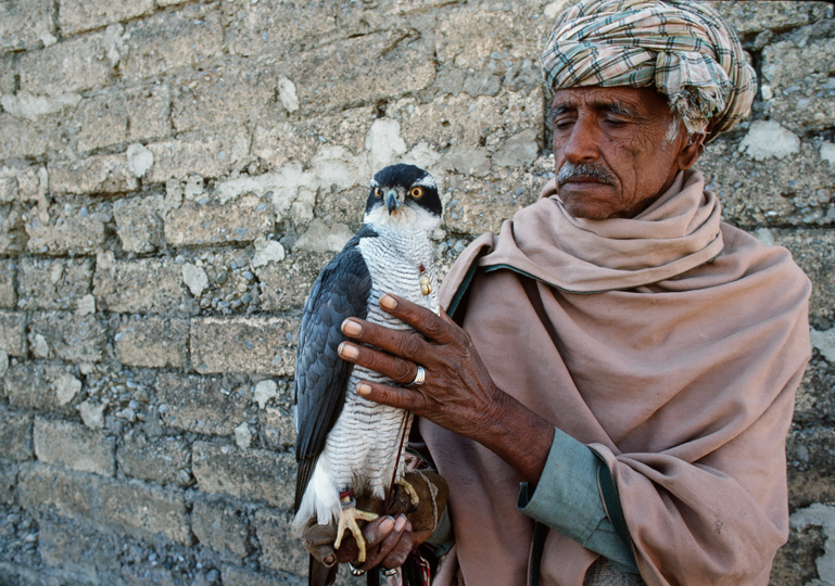 <em>Falconer with goshawk. Punjab Province, Pakistan</em>, Rich Clark
